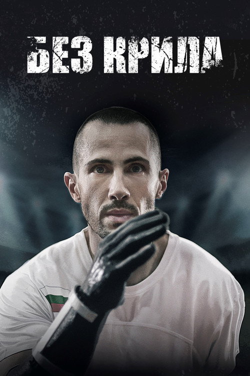 Wingless (2024) movie poster