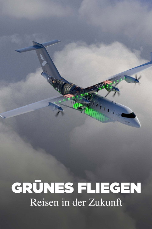 Grünes Fliegen - Reisen in der Zukunft (2024) movie poster