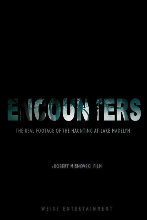 Encounters (2012) movie poster