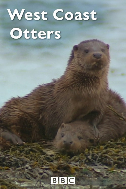 West Coast Otters (2005) movie poster