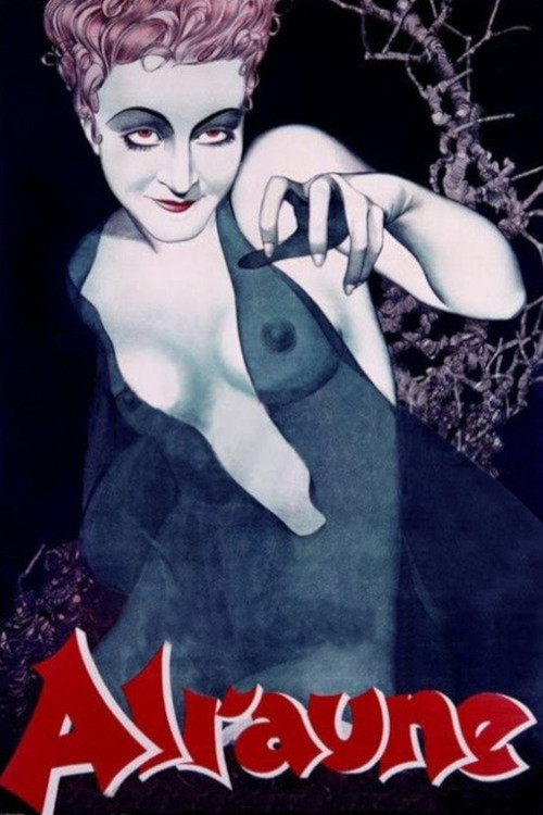 A Daughter Of Destiny (1928) movie poster