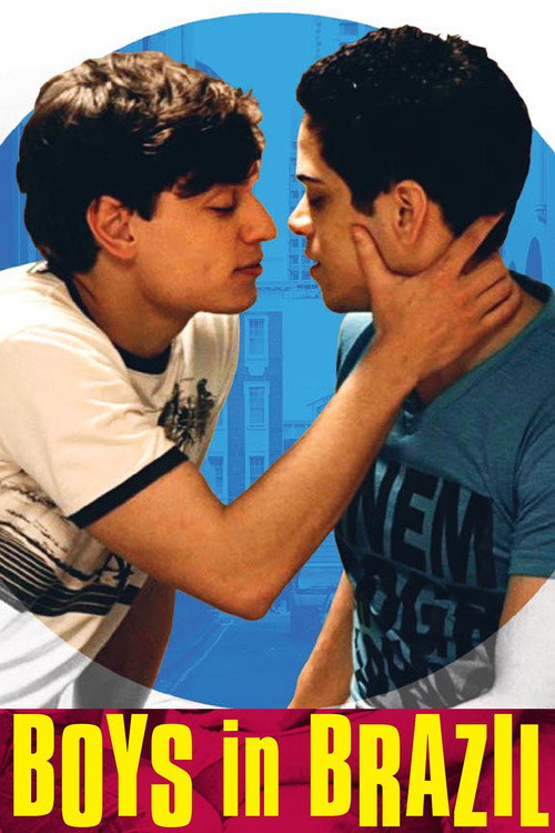 Boys in Brazil (2014) movie poster