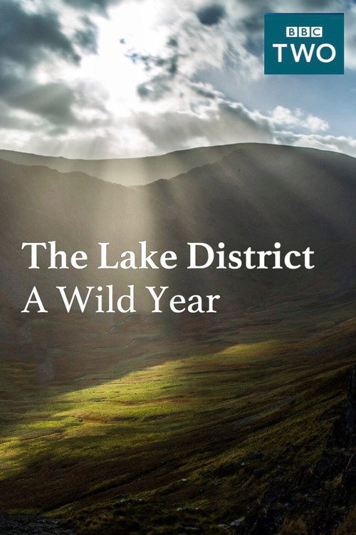The Lake District: A Wild Year (2017) movie poster
