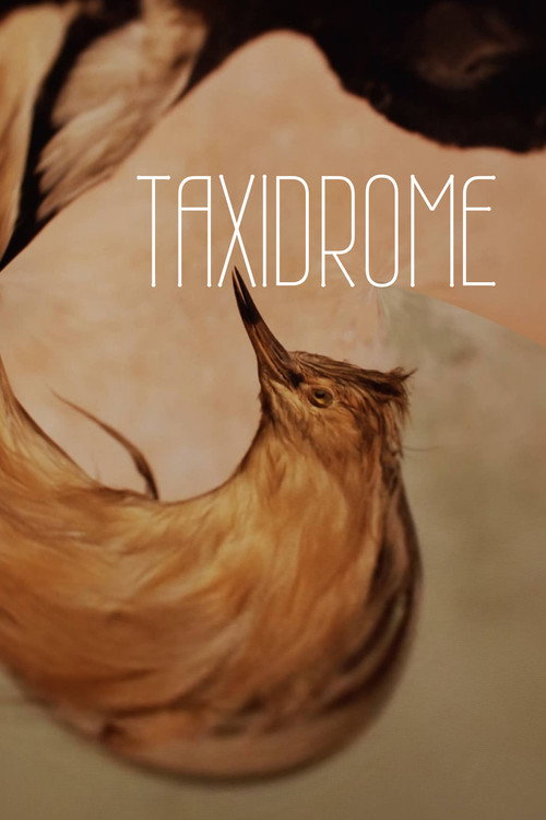 Taxidrome (2021) movie poster