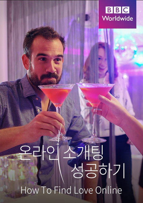 How to Find Love Online (2013) TV show poster