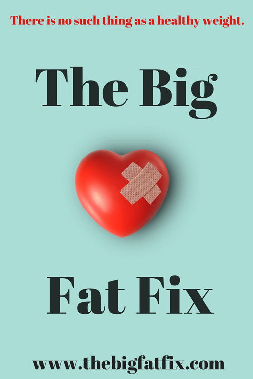 The Big Fat Fix (2016) movie poster