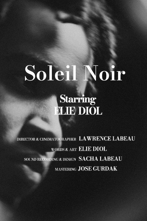 Soleil noir (2025) movie poster