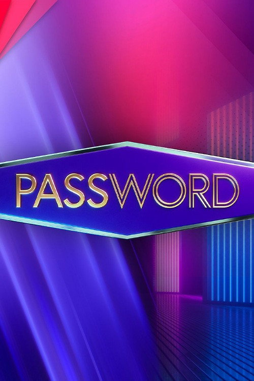 Password (2008) TV show poster