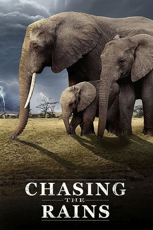 Chasing the Rains (2023) TV show poster