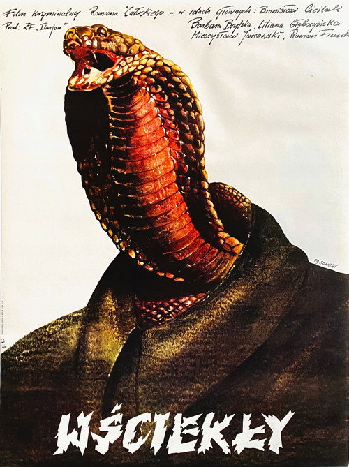 Wściekły (1980) movie poster