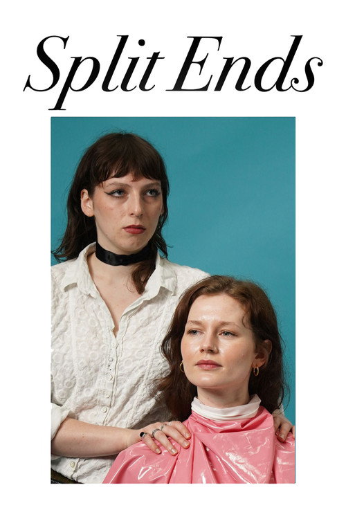 Split Ends (2024) movie poster