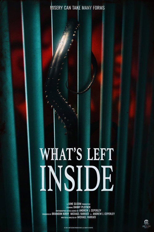 What's Left Inside (2021) movie poster