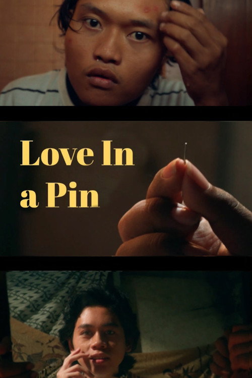 Love In A Pin (2025) movie poster