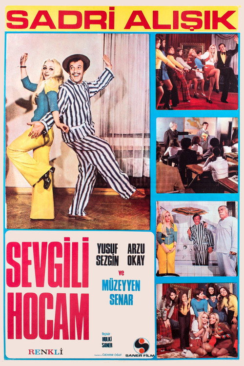 Sevgili Hocam (1972) movie poster