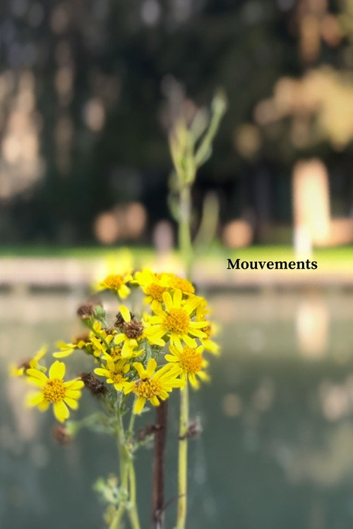 Mouvements (2024) movie poster