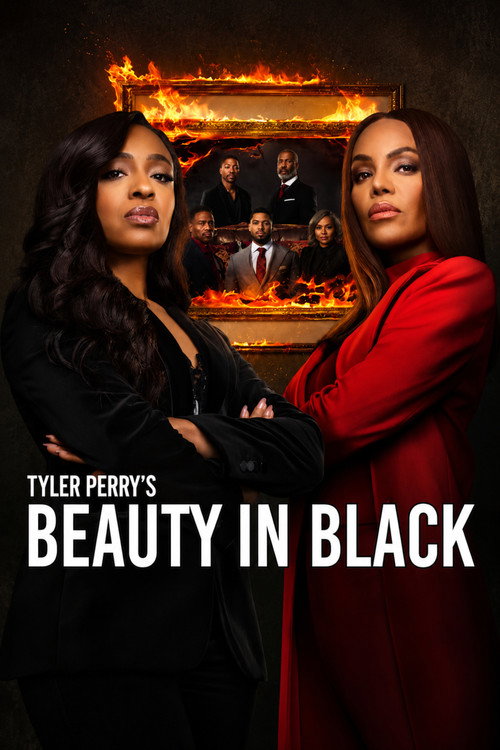 Beauty in Black (2024) TV show poster
