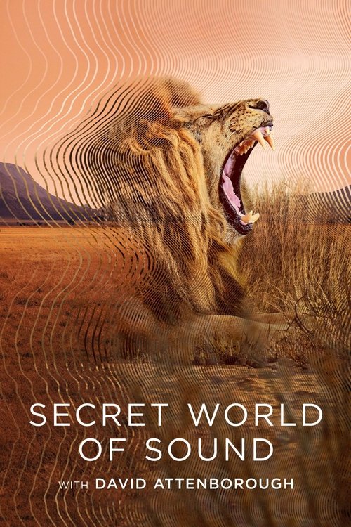 Secret World of Sound (2024) TV show poster