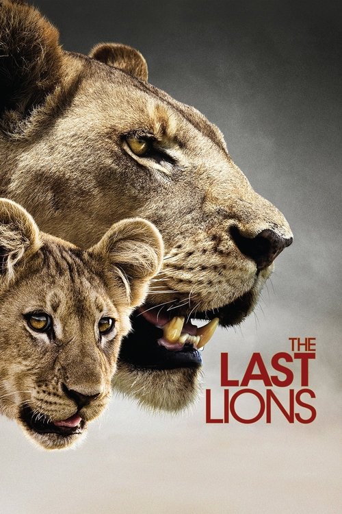 The Last Lions (2011) movie poster