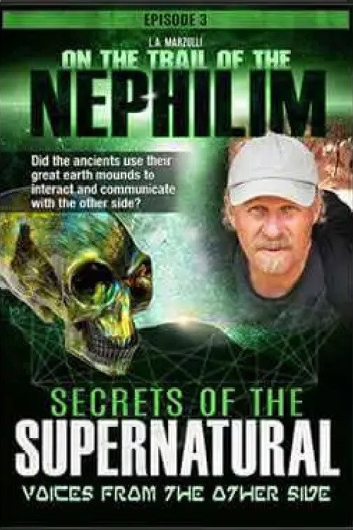 On the Trail of the Nephilim: Episode 3 - Secrets of the Supernatural (2019) movie poster