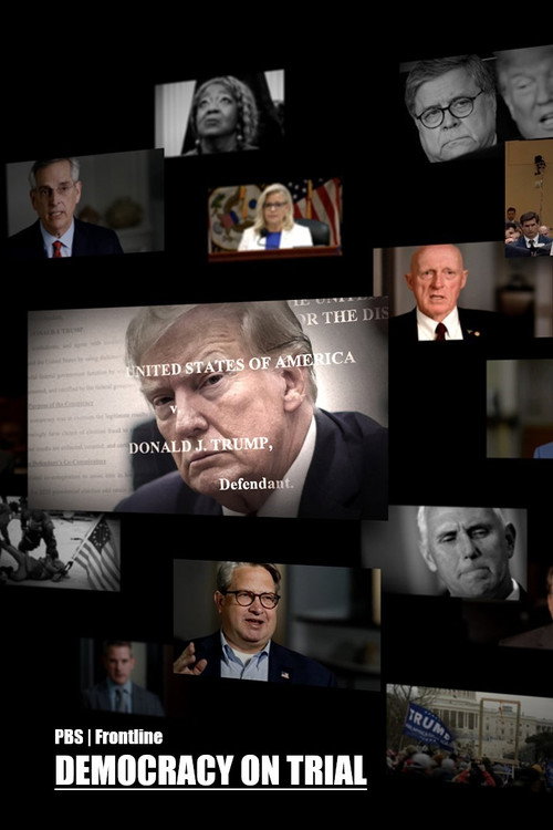 Democracy on Trial (2024) movie poster