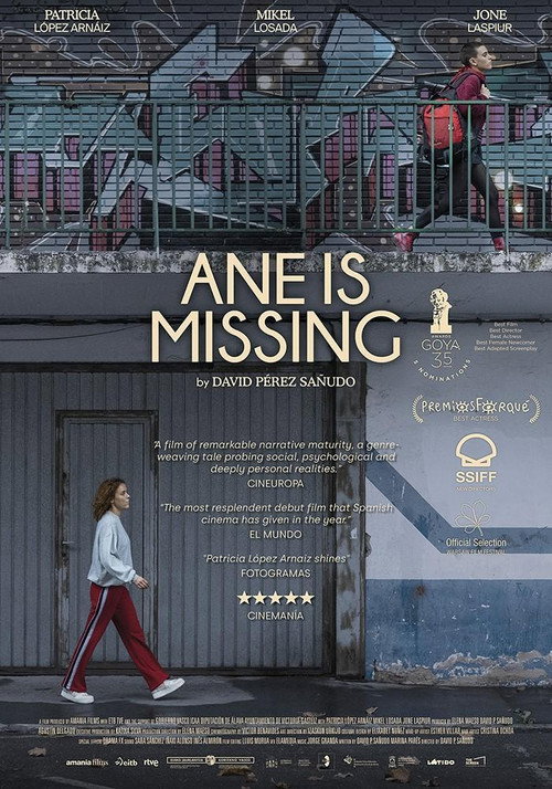 Ane Is Missing (2020) movie poster