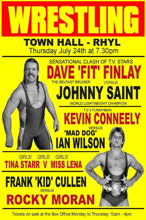 The Fit Finlays (2010) movie poster