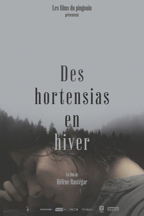 Des Hortensias en Hiver movie poster