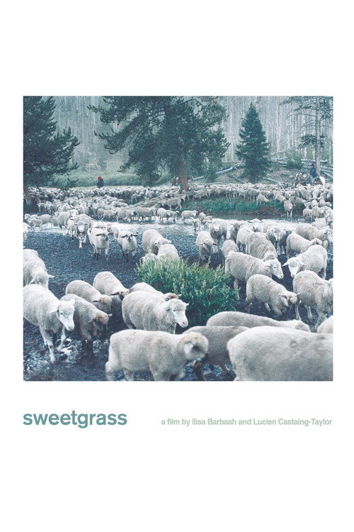 Sweetgrass (2009) movie poster