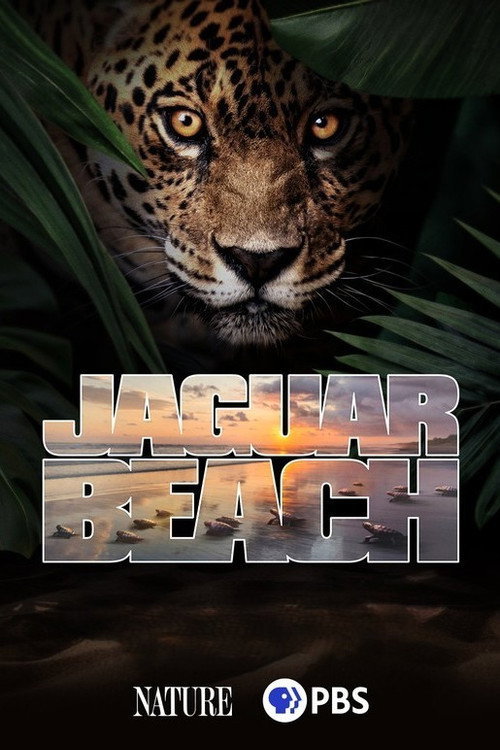 Jaguar Beach‎ (2025) movie poster
