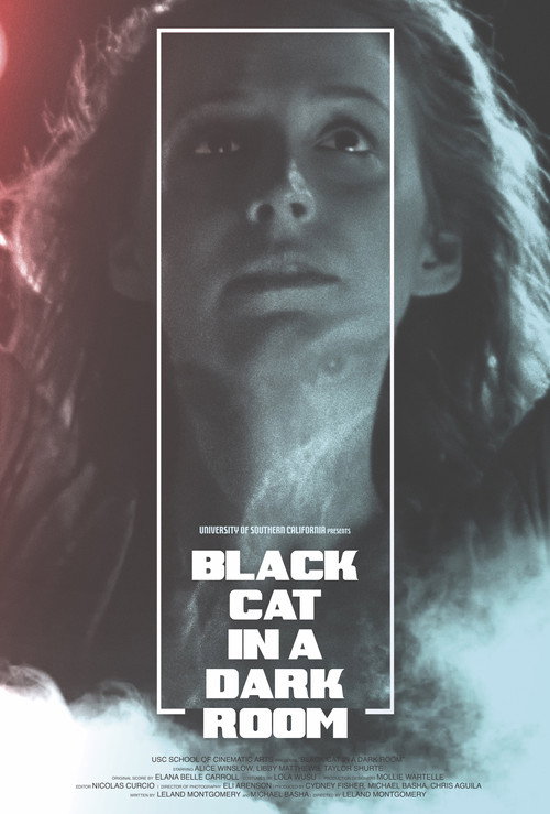 Black Cat in a Dark Room (2019) movie poster