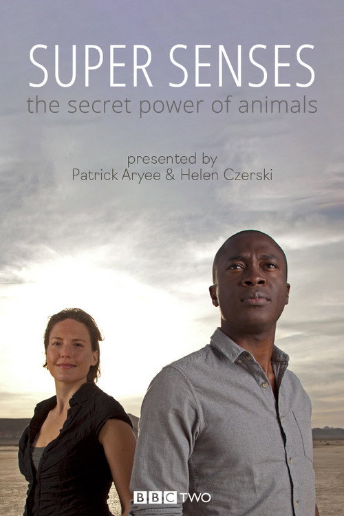 Super Senses: The Secret Power of Animals (2014) TV show poster