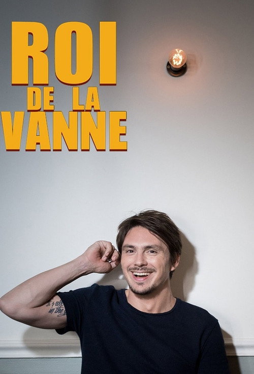 Roi de la vanne (2017) TV show poster
