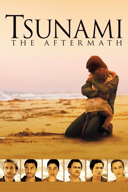 Tsunami: The Aftermath (2006) TV show poster
