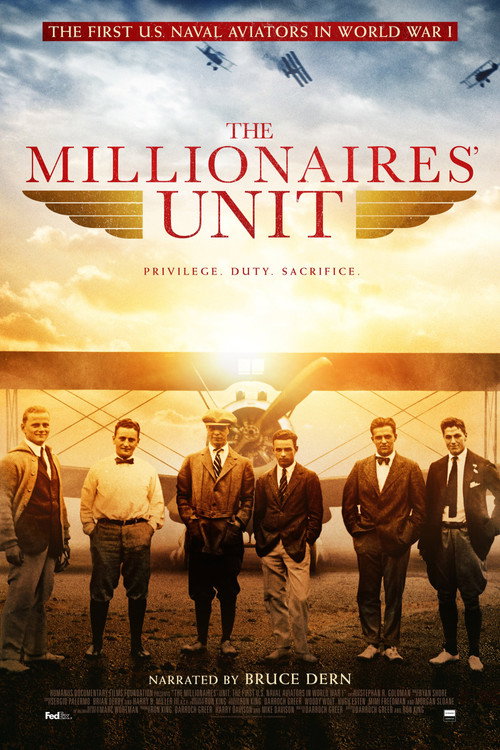 The Millionaires' Unit (2015) movie poster