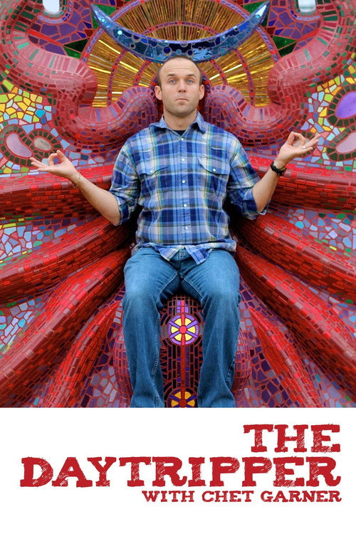 The Daytripper (2009) TV show poster