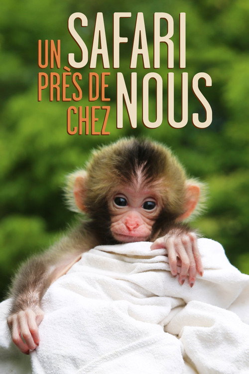 Un safari près de chez nous (2019) TV show poster