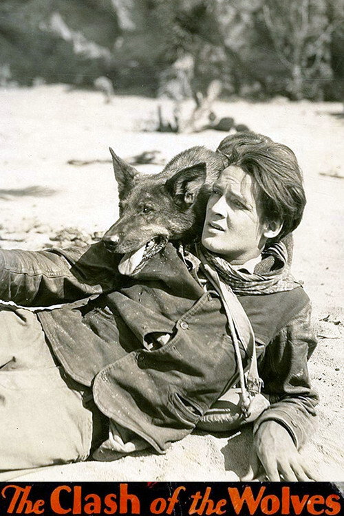 Clash of the Wolves (1925) movie poster