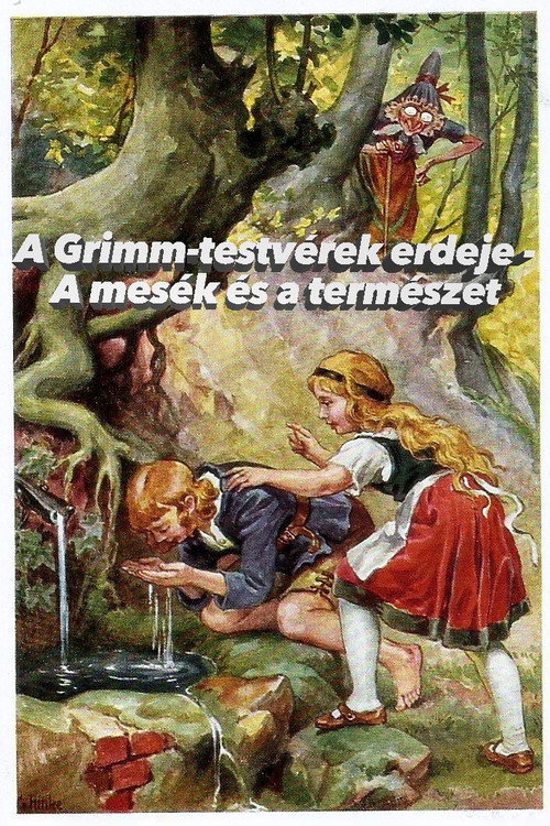 Im Märchenwald der Gebrüder Grimm (2021) movie poster