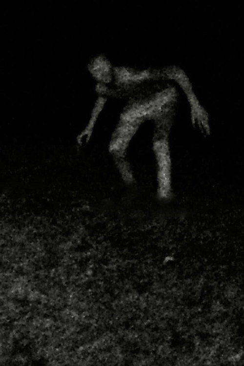 Stalking (2023) movie poster