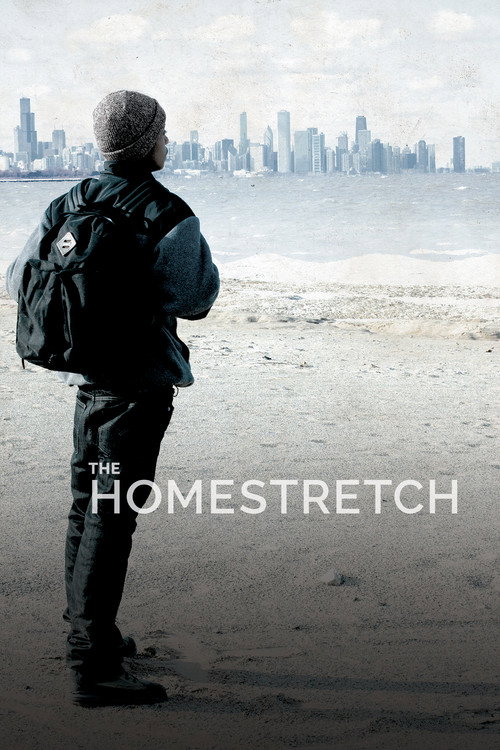 The Homestretch (2014) movie poster