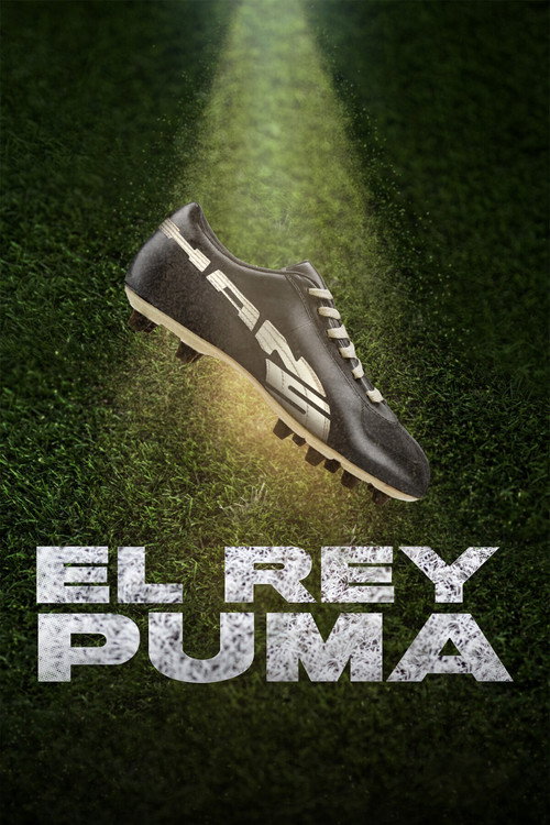 El rey Puma (2026) movie poster
