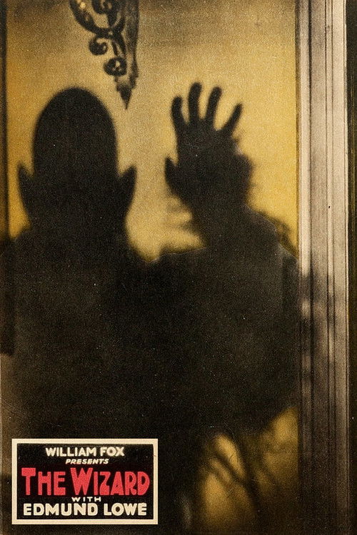 The Wizard (1927) movie poster