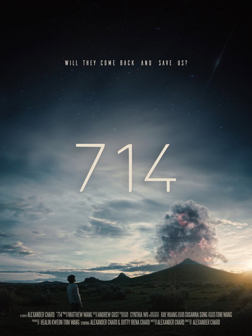 714 (2024) movie poster