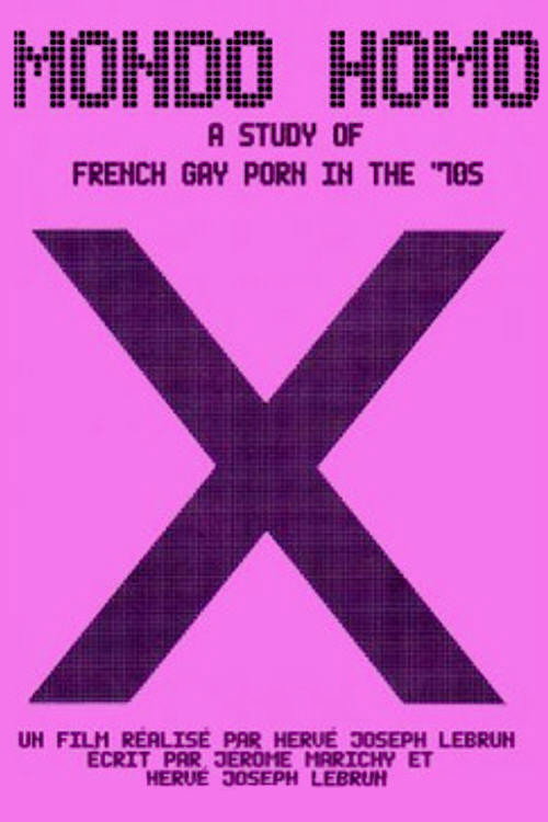 Mondo Homo: Inquiry Into 70's Gay French Porn (2009) movie poster