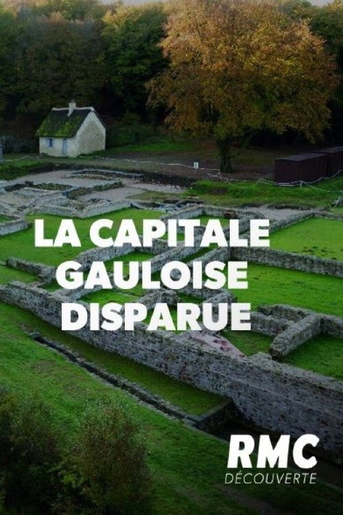 La capitale gauloise disparue (2020) movie poster