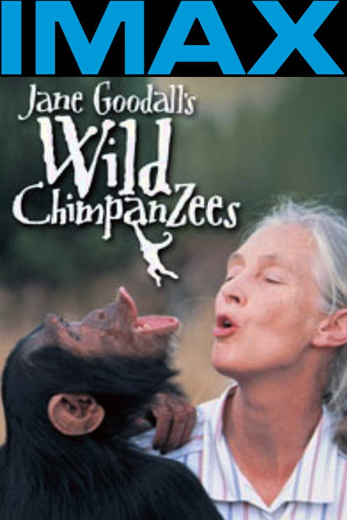 Jane Goodall's Wild Chimpanzees (2002) movie poster