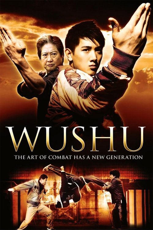 Wushu (2008) movie poster