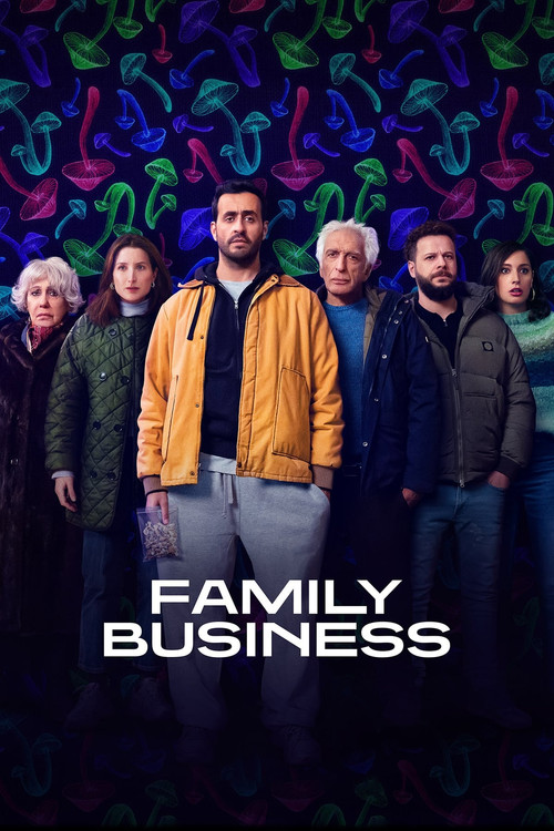Family Business (2019) TV show poster