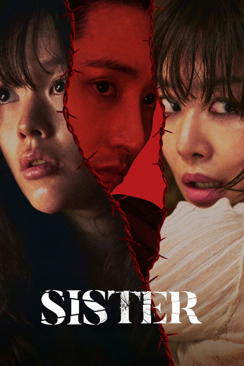 Sister (2026) movie poster