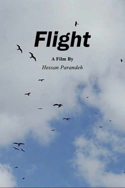 Flight (2023) movie poster